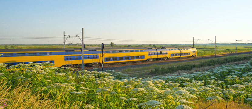 Fototapeta Electric train riding through nature in summer
