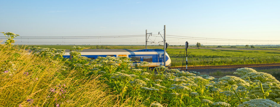 Fototapeta Electric train riding through nature in summer