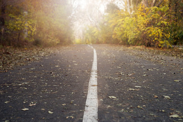 Fall road with dividing line and leafs on the ground