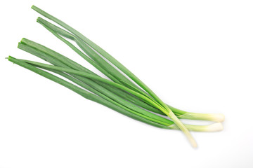 Fototapeta premium Fresh green onion isolated on white background