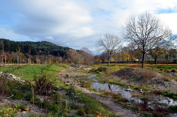 Fototapeta na wymiar Dreisam im Herbst