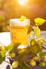 Foto auf Leinwand Beer. Mug with beer and hop on sunset summer autumn background. © Miramiska