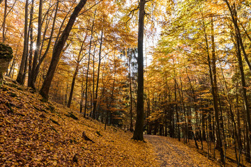 Landschaft im Herbst