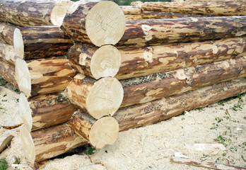 Process of rural house construction from heavy logs closeup