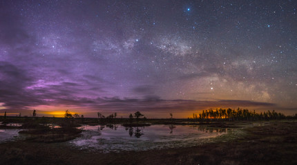 Starry night at a swamp