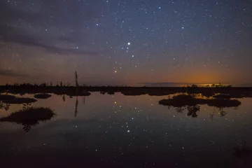 Deurstickers Starry night at a swamp © Viktar Malyshchyts