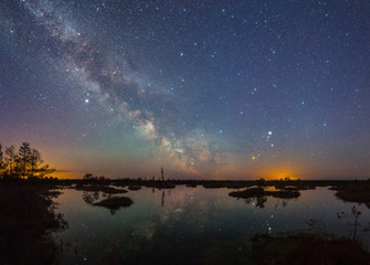 Starry night at a swamp