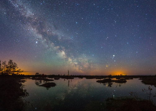 Starry night at a swamp