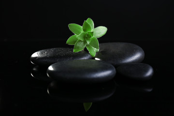 Stack of stones and a green flower, on black background. Spa relaxation concept