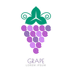 Vector grape with leaf, logo design template
