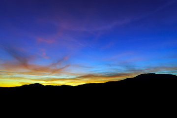 Abstract colorful sunset landscape with tree silhouette