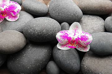 Obraz na płótnie Canvas Spa stones and orchids closeup