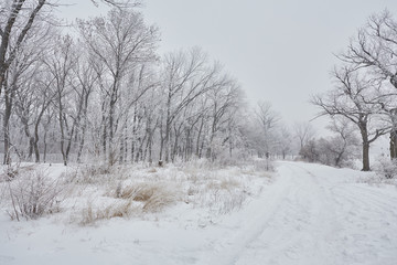 Obraz na płótnie Canvas Beautiful winter landscape 