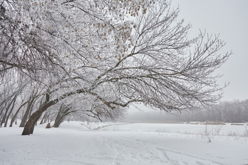 Beautiful winter landscape 