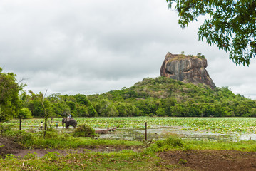 LION'S ROCK, Sri Lanka