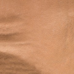 Close up  texture of colorful leather