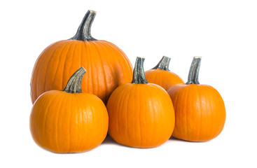 Pumpkins Isolated on White Background