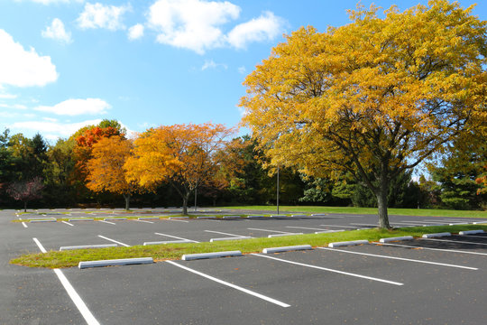 empty parking lot trees in autumn