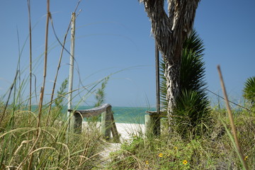 Florida Seaside