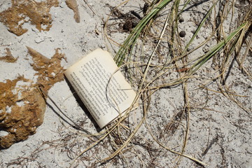Abandoned pages on the beach