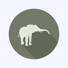 Flat Design icon, elephant, vector 