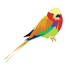 vector design paint bird