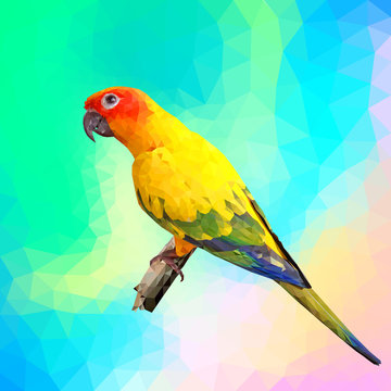 colorful parrot with polygon style