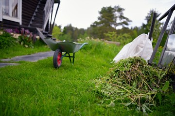 Garden wheelbarrow on courtyard
