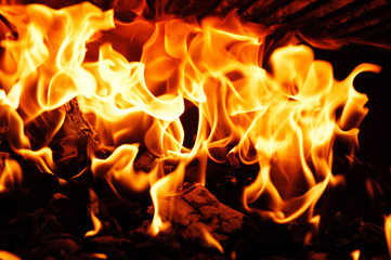 fire flame