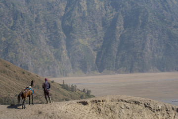 Obraz premium Horse riding service around Bromo Tengger Semeru National Park, East Java, Indonesia.