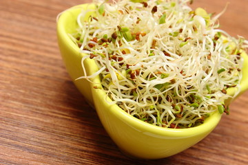 Bowl with alfalfa and radish sprouts on wooden table