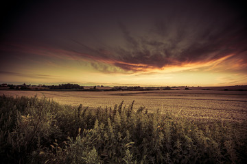 Obraz na płótnie Canvas Beautiful sunset over summer field