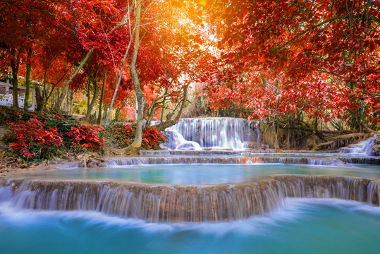 Fototapeta Waterfall in rain forest ( Tat Kuang Si Waterfalls at Luang prab