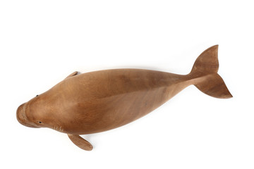 fish wood ( Fish Phayun ) isolated on white background