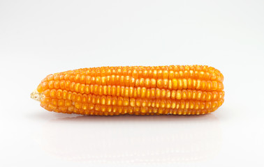 Dried corn on white background