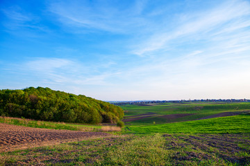 Naklejka premium to the orthros the green field