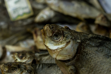 Dried Salted Fish in a Russian Shop