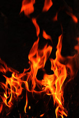 Fototapeta premium Fire flames close-up on black background 