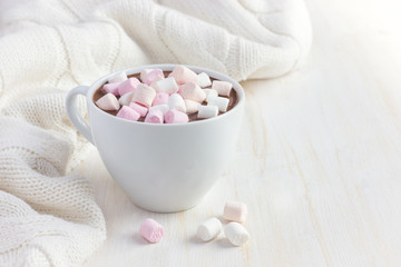 Fototapeta na wymiar cup of hot chocolate with marshmallow