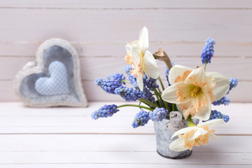 Fototapeta na wymiar Background with fresh spring blue muscaries, yellow daffodils fl
