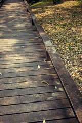 Fototapeta premium old wooden walkway with falling leaves in the morning of autumn