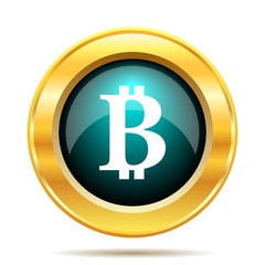 Bitcoin icon