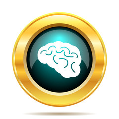 Brain icon