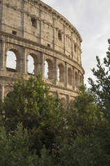 Obraz premium Colosseum Rome Italy