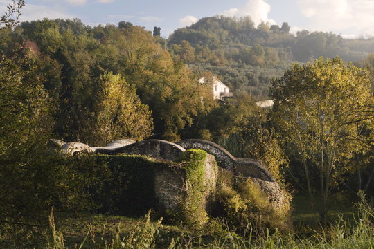 Vista del Ninfeo Bramante