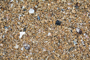 brown Pebbles beach Background