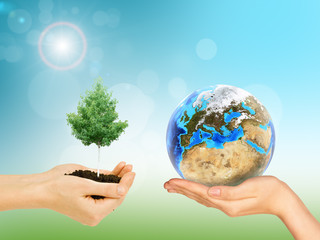 Womans hands with green tree and Earth