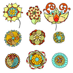 doodle leafs and branches