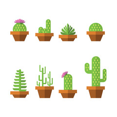 Flat succulents set