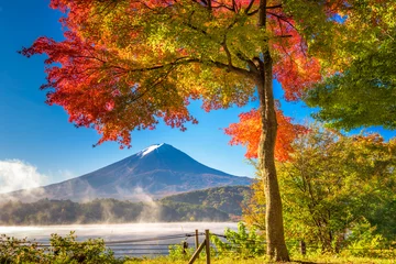 Abwaschbare Fototapete Herbst Fuji in Fall
